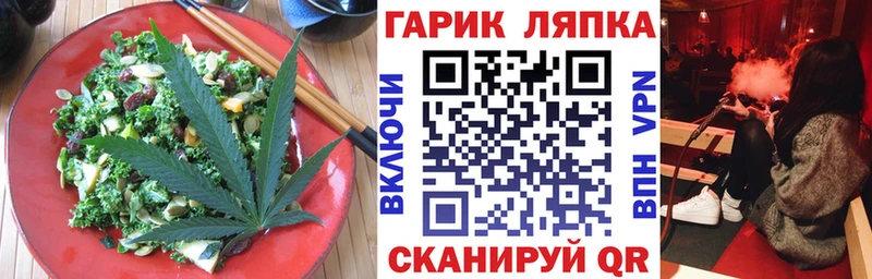магазин продажи наркотиков  Цоци-Юрт  гидра рабочий сайт  Печенье с ТГК конопля 