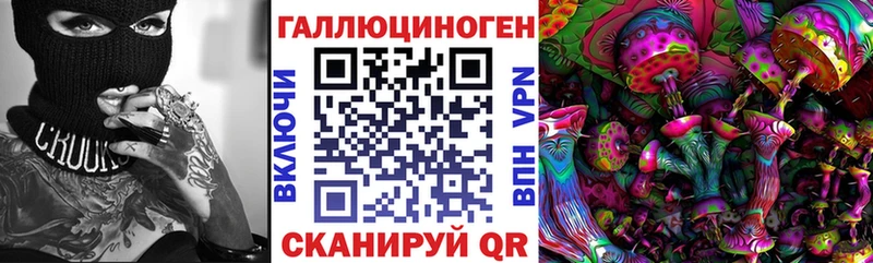 Псилоцибиновые грибы мухоморы  Цоци-Юрт 